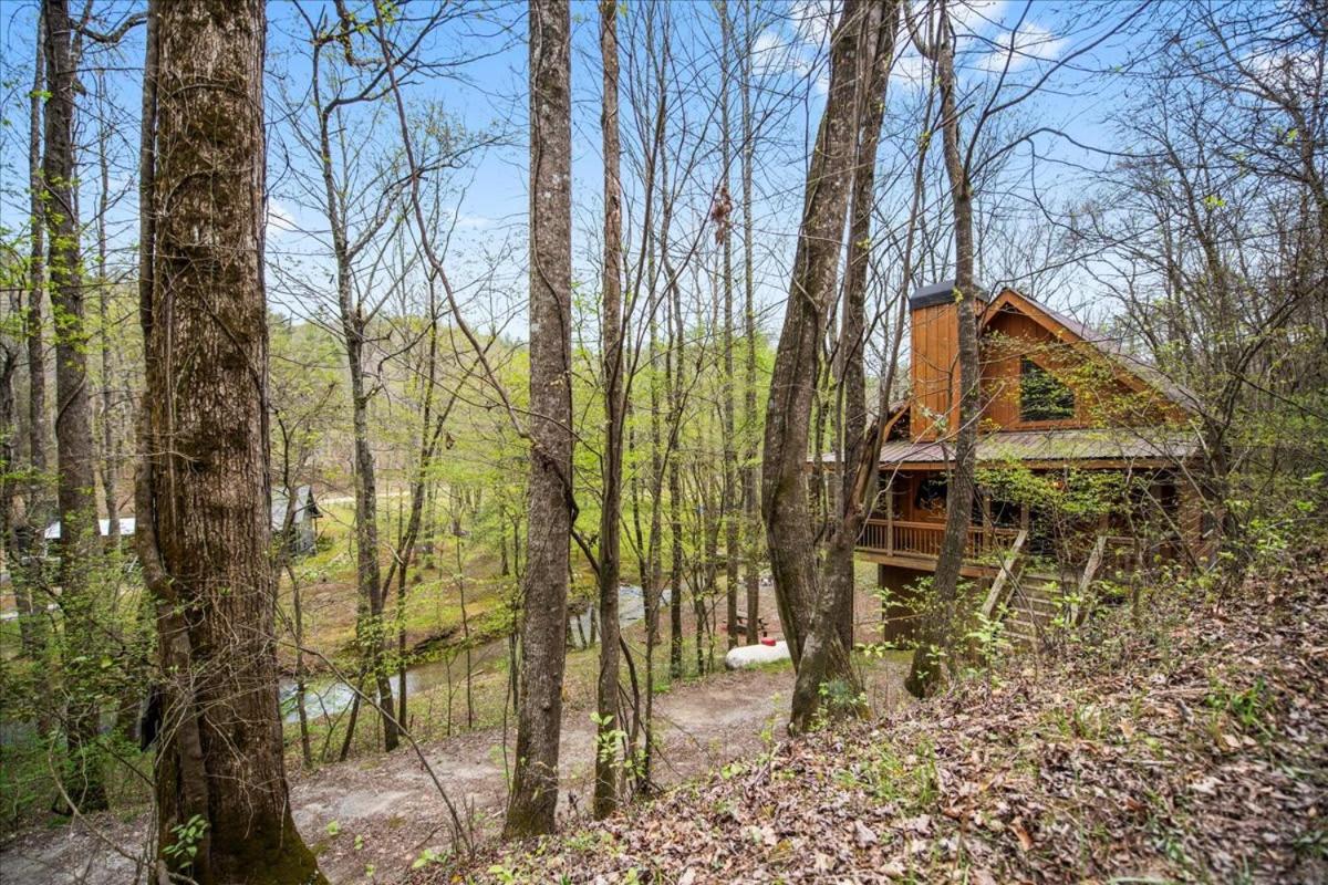 Cozy Cabin Beside Briar Creek, Fire Pit, Wifi Villa Елиджей Екстериор снимка
